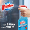 Windex
