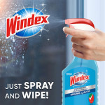 Windex